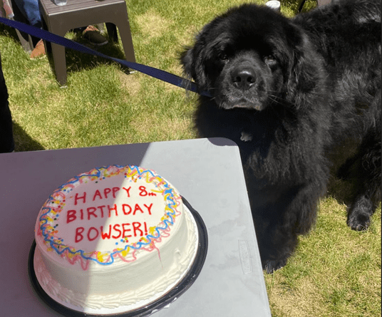 Bowser’s Birthday – 6/10/22